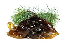 Кедровая живица