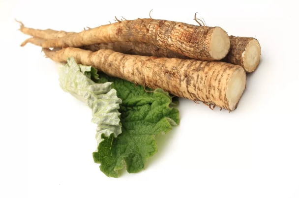 Лопух (корень)